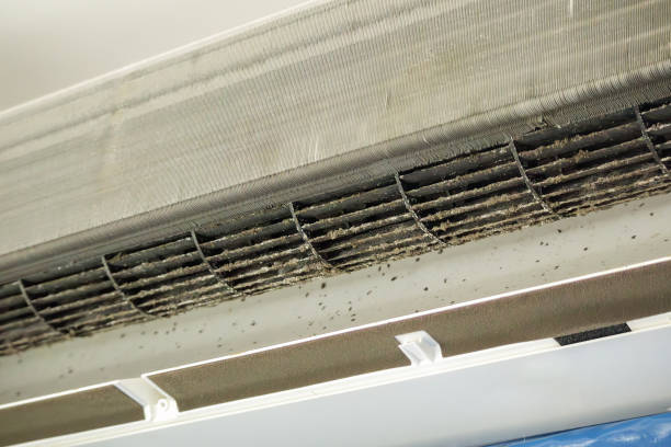 Air Duct Mold Removal in Powers Lake, WI